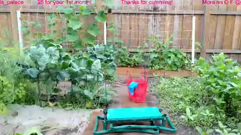 Ella Bella Bo Bella online show from July 22, 1:47 pm