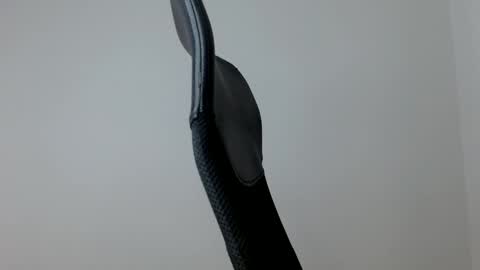 elosocazador online show from January 16, 12:31 pm