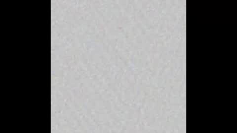 Ely online show from February 26, 11:20 am