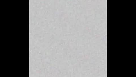 Ely online show from September 9, 11:43 am