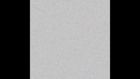 Ely online show from September 11, 11:43 am