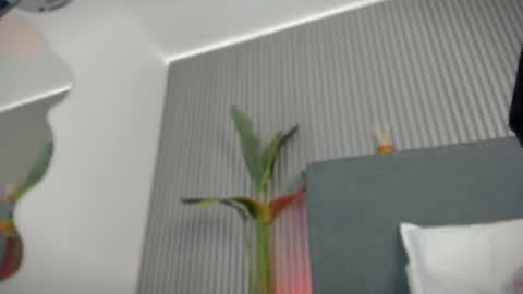 Snapshot of emelie_89 chatting on July 6, 11:40 am emelie_89 online show from July 6, 11:40 am