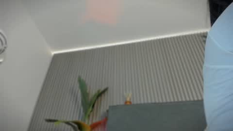 Snapshot of emelie_89 chatting on July 15, 11:48 am emelie_89 online show from July 15, 11:48 am