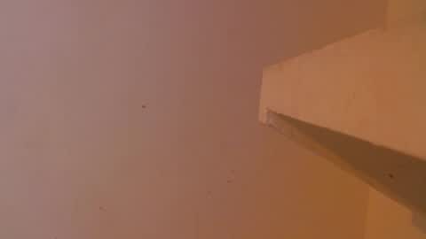 Snapshot of emily308876 chatting on May 5, 12:35 pm emily308876 online show from May 5, 12:35 pm