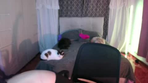 Snapshot of emily_swan_04 chatting on April 26, 1:47 am Emily Swan online show from April 26, 1:47 am