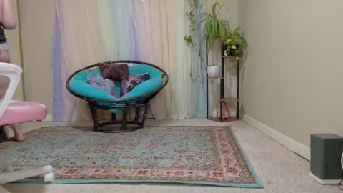 emily haze online show from October 24, 6:26 pm