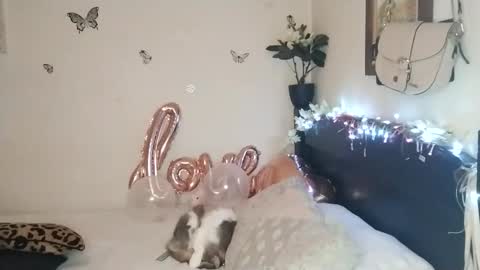 Valentina independent model online show from November 25, 2:33 am