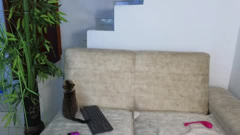 Emma Blue  modelo independiente online show from October 20, 3:29 am