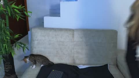 Emma Blue  modelo independiente online show from October 28, 4:05 am