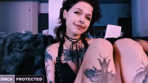 Rainbow on your spoon online show from November 7, 4:01 am