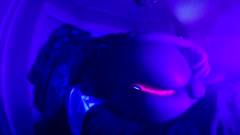 Erotic  Kryptonite online show from February 23, 2:03 pm