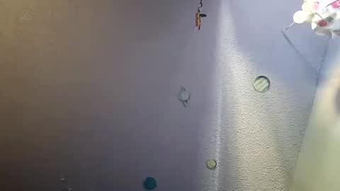 errrow online show from December 20, 6:24 pm