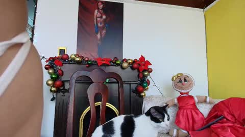 Esmeralda  online show from December 18, 3:51 pm