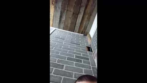 Snapshot of ethanfish600 chatting on March 3, 7:25 am ethanfish600 online show from March 3, 7:25 am