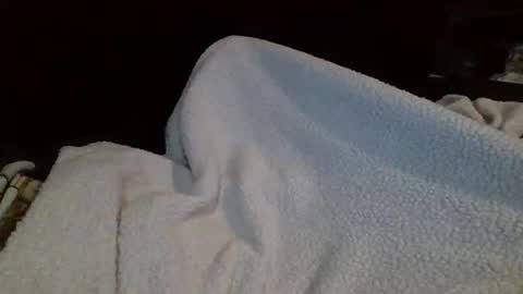 Snapshot of eu369033 chatting on February 25, 8:07 pm eu369033 online show from February 25, 8:07 pm