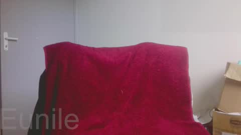 Snapshot of eunile chatting on October 23, 2:49 pm eunile online show from October 23, 2:49 pm