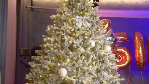 Eva online show from December 28, 6:50 pm