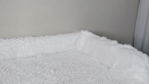 eva varnerr online show from February 3, 1:19 pm