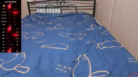 Eva online show from November 29, 11:13 am