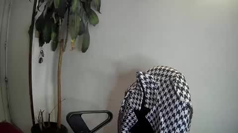 evacollins12 online show from January 7, 3:46 am