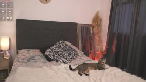 Snapshot of evajacksss_ chatting on February 12, 9:21 pm evajacksss_ online show from February 12, 9:21 pm