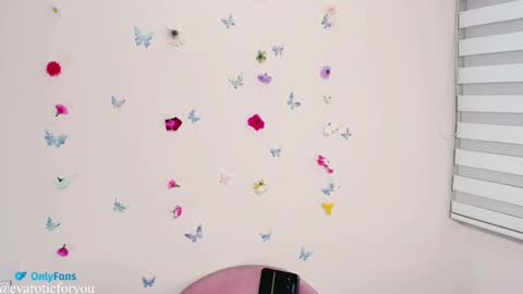 Snapshot of evarotic chatting on November 4, 11:15 pm Eva online show from November 4, 11:15 pm