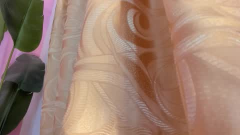 Snapshot of evelyn__rose1 chatting on March 8, 2:04 am evelyn__rose1 online show from March 8, 2:04 am