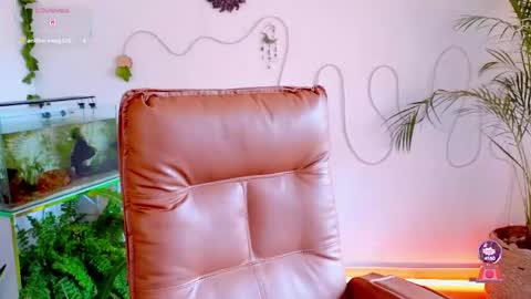 Im Eve or Chelle Next Stream 191224  online show from May 4, 6:37 pm