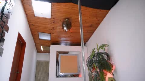 evelyn evelyn online show from April 20, 4:54 pm