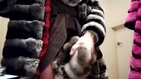 Snapshot of evesimmons chatting on October 27, 12:31 pm evesimmons online show from October 27, 12:31 pm