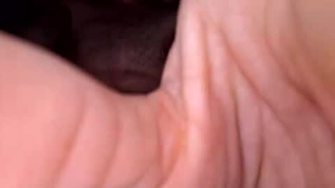 Snapshot of exhibboytoy3 chatting on March 24, 7:24 am Exhibboytoy3 online show from March 24, 7:24 am