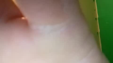 experttreecompany online show from April 10, 4:55 pm