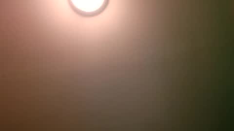 experttreecompany online show from April 12, 4:17 am