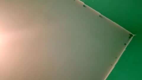 experttreecompany online show from April 12, 10:26 pm