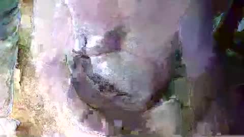 Snapshot of expogent chatting on April 10, 7:24 am expogent online show from April 10, 7:24 am