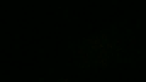 ExtendoKlit online show from January 20, 11:45 am