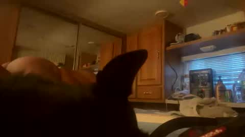 ExtendoKlit online show from December 2, 2:56 pm