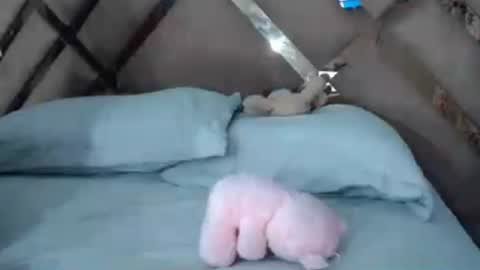 eyshaexotii online show from June 30, 4:24 am