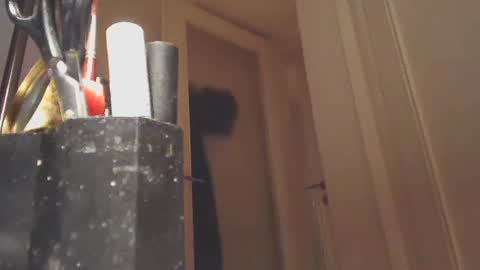 Snapshot of ezcoda chatting on January 26, 10:57 pm EZCODA online show from January 26, 10:57 pm