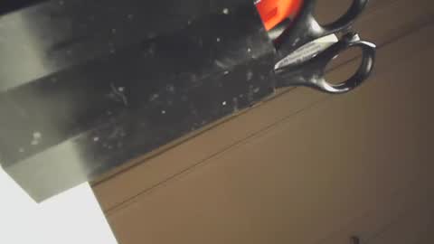 Snapshot of ezcoda chatting on January 31, 8:33 pm EZCODA online show from January 31, 8:33 pm