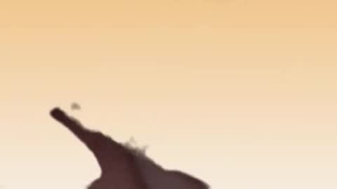 fabinou32 online show from November 22, 2:49 pm