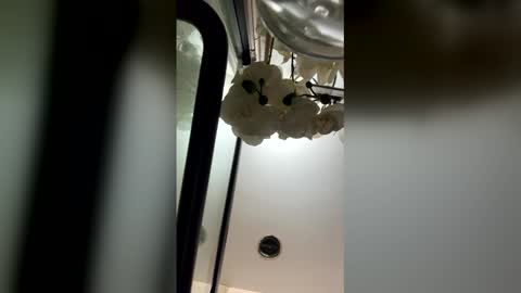 fabiolacal11 online show from February 28, 5:52 am