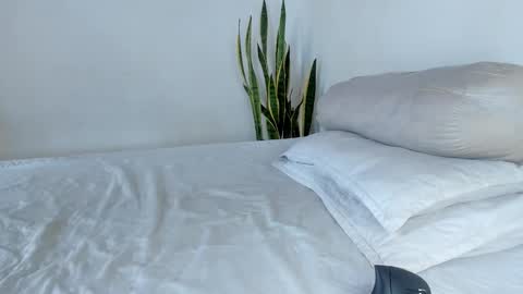 -  A N D E R online show from November 4, 6:29 pm