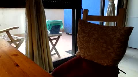 Fabro online show from March 13, 7:48 am