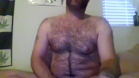 faceforyourbutt online show from February 3, 3:27 pm