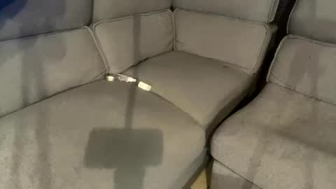 facesd online show from February 2, 5:59 pm