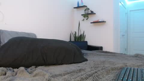 Fallon Gray online show from March 8, 11:28 pm