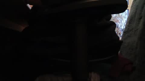 Snapshot of fat_bubble chatting on October 26, 3:51 pm Fat Bernd online show from October 26, 3:51 pm