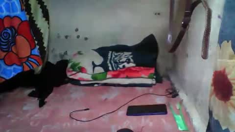 fazila online show from November 18, 7:02 am