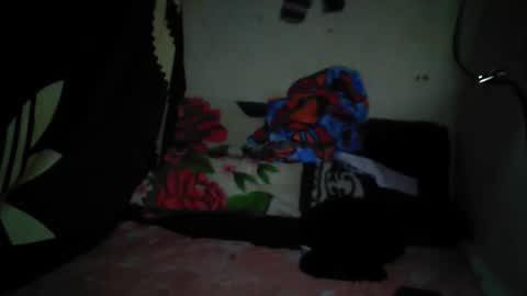 fazila online show from November 20, 8:58 am